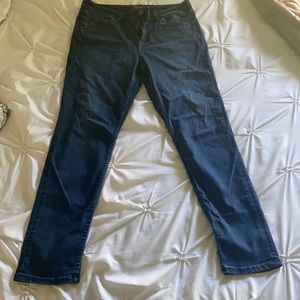 Tommy Bahamas Womens Skinny Jeans 14